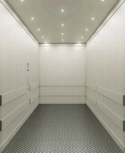 Goods lift cabin design reference from a supplier catalogue