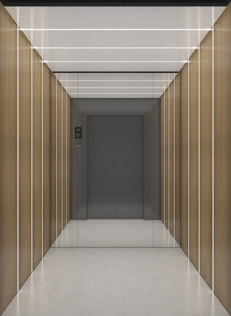 Passenger lift cabin design reference from a supplier catalogue