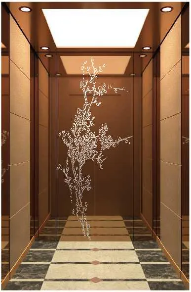 Passenger lift cabin design reference from a supplier catalogue