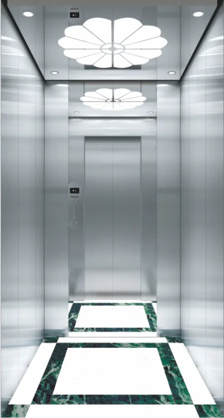 Silver home lift cabin with a decorative ceiling